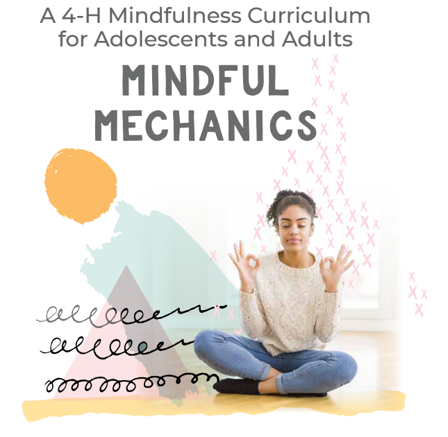 Mindful Me and Mindful Mechanics
